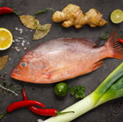 poissons2