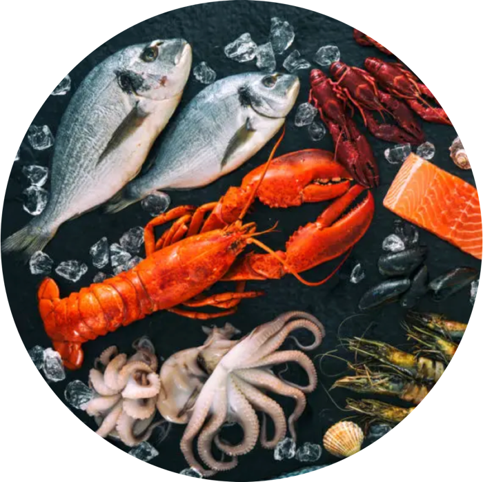 variété de poissons et crustacés bien frais déposée sur une ardoise grise avec de la glace