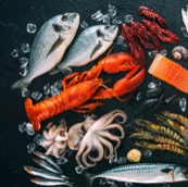 les fruits de mer3